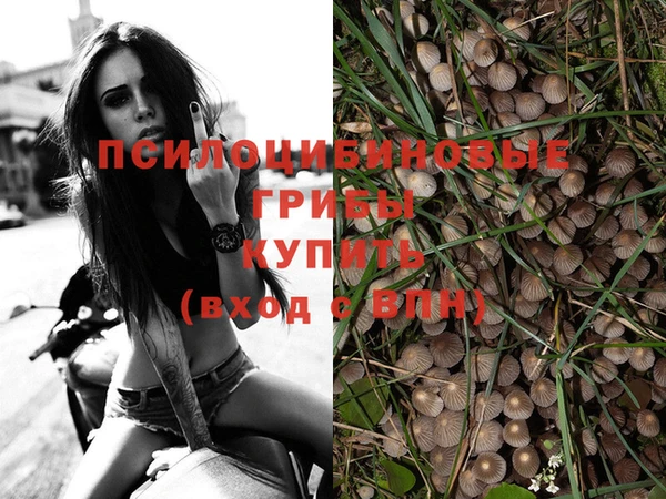 прущие крисы Баксан