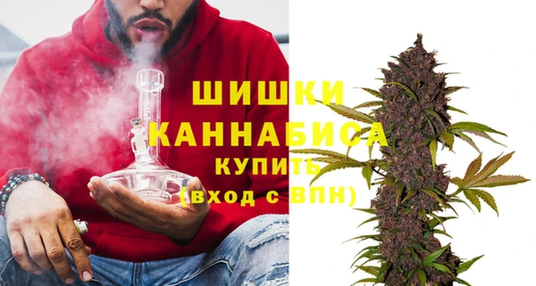 спайс Богданович